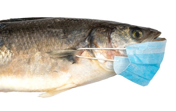 THE FISH INDUSTRY: POSITIONING FOR THE FUTURE IN THE FACE OF COVID-19